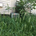 Heat Pump installs and repair by AVS Heating and Air Conditioning 2 Heat Pump installs and repair by AVS Heating and Air Conditioning 2